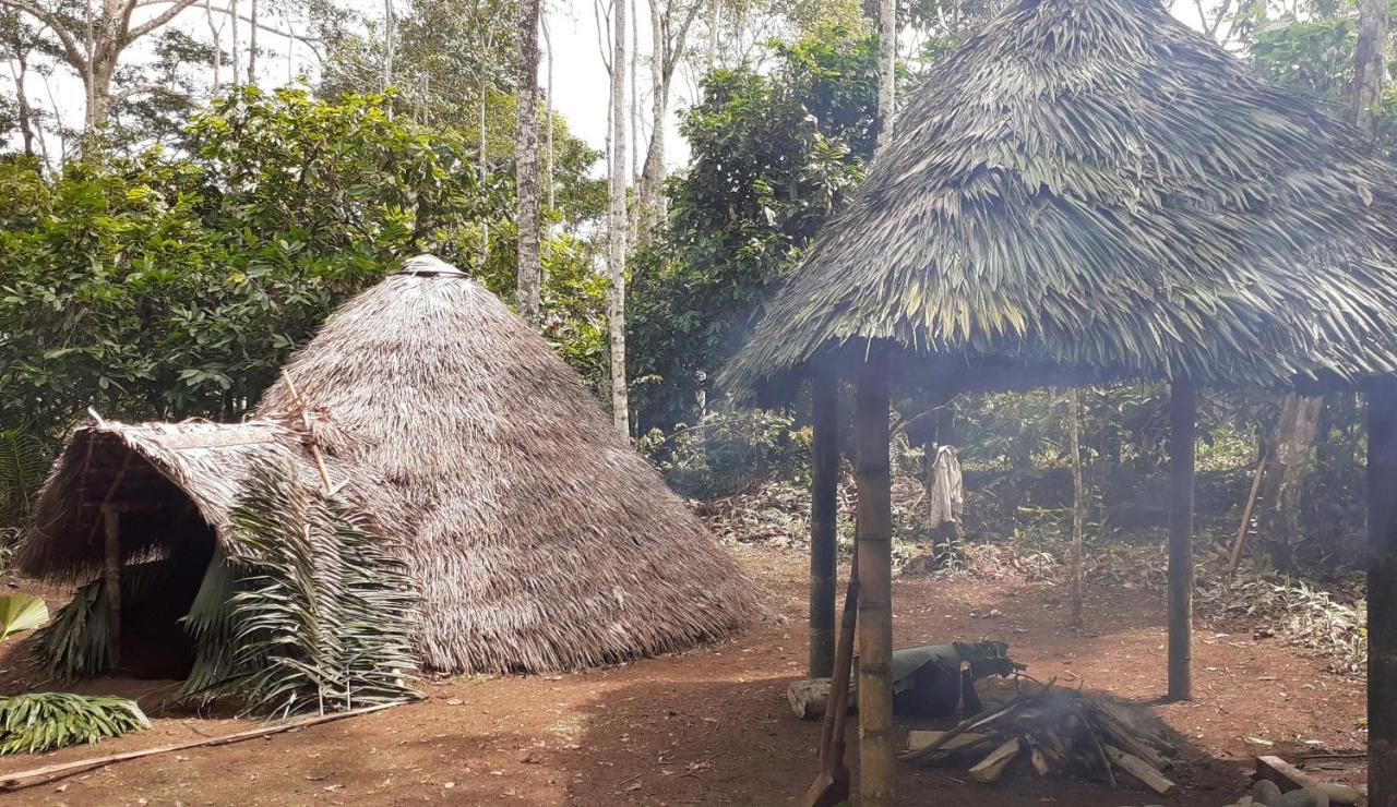 Puerto Misahuallí Shipati Lodge מראה חיצוני תמונה